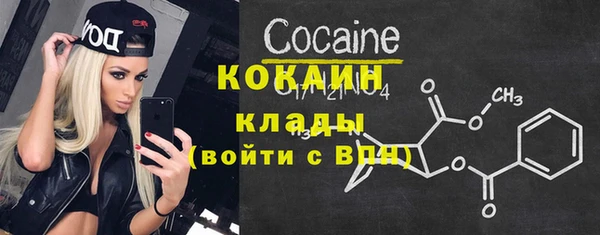 шишки Аркадак