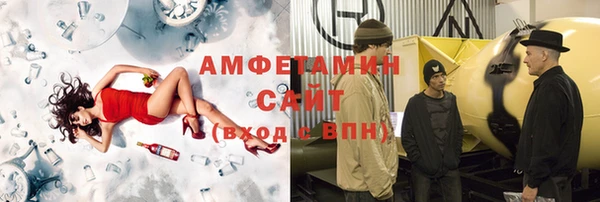шишки Аркадак
