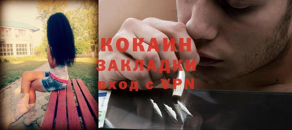 индика Армянск