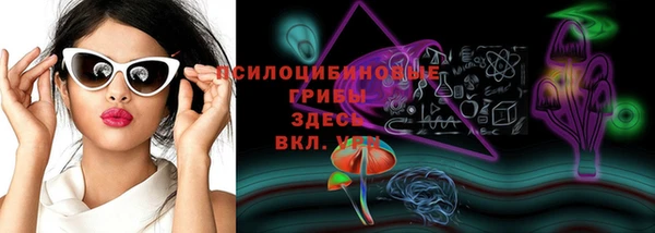 винт Арсеньев