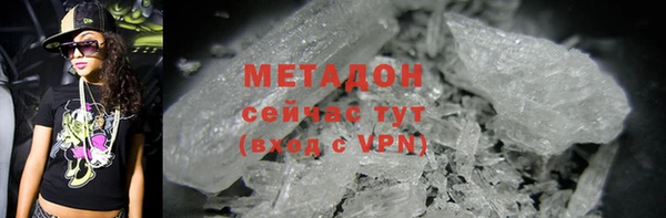шишки Аркадак