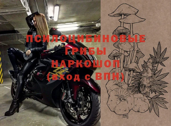винт Арсеньев