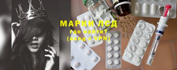 индика Армянск