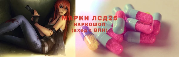 шишки Аркадак