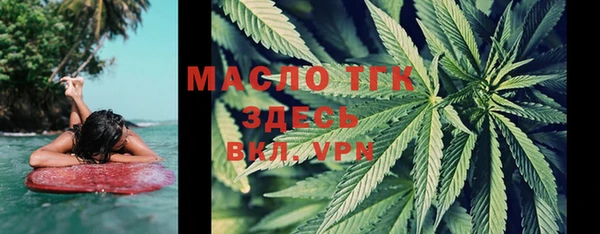 шишки Аркадак