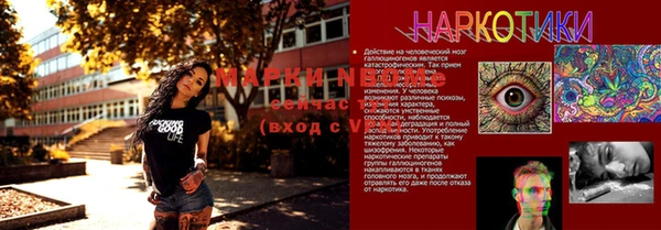 индика Армянск