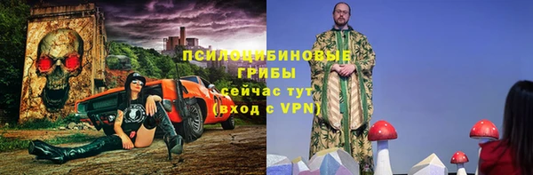 индика Армянск