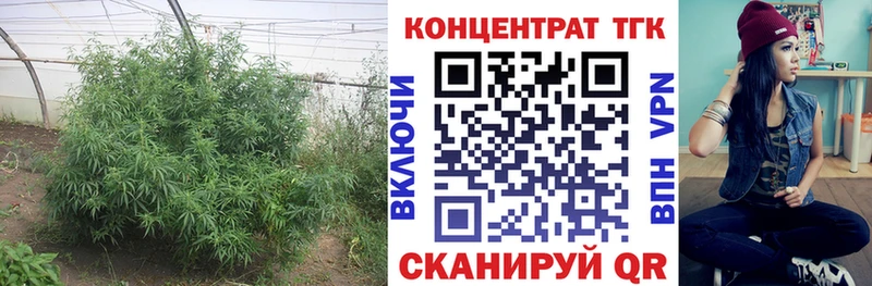 Купить где  Морозовск  ТГК вейп с тгк 